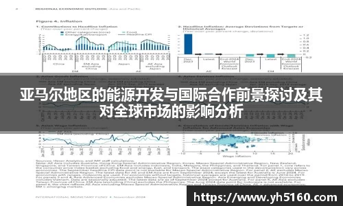 亚马尔地区的能源开发与国际合作前景探讨及其对全球市场的影响分析